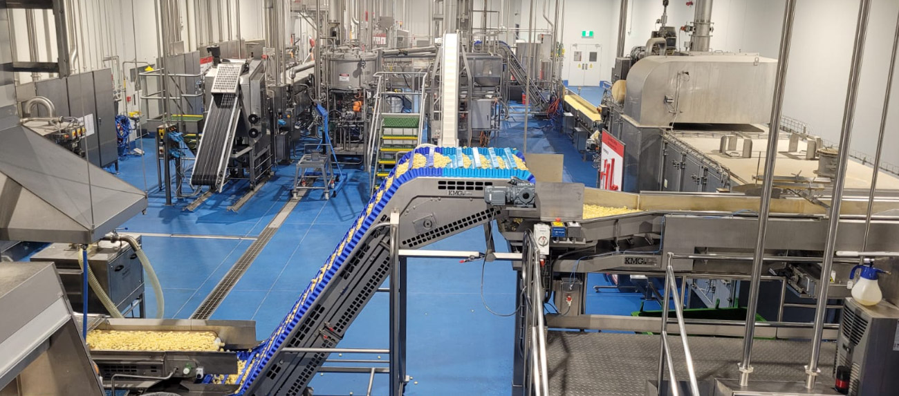 industrial conveyor